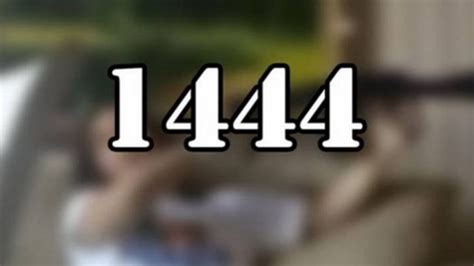 video 1444|watch warning 1444 online free.